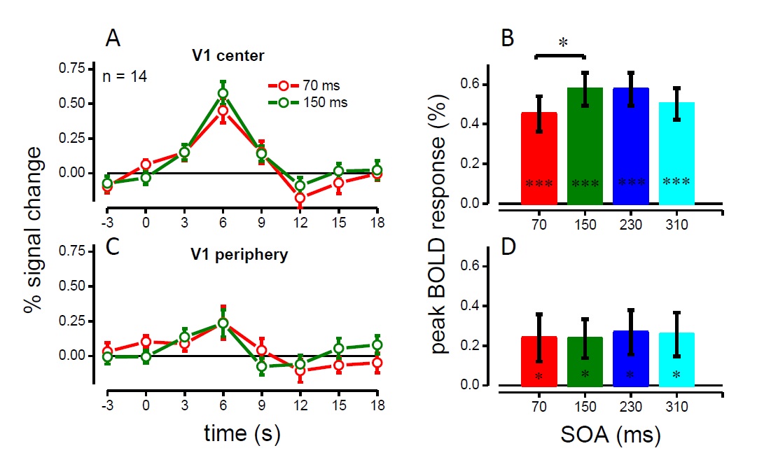 Voluntary Action Rhythmically Modulates 7T BOLD Visual Responses In ...